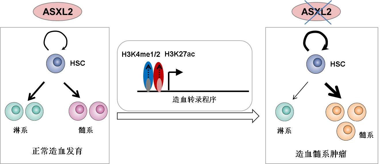 永利集团·yl(中国游)官方网站