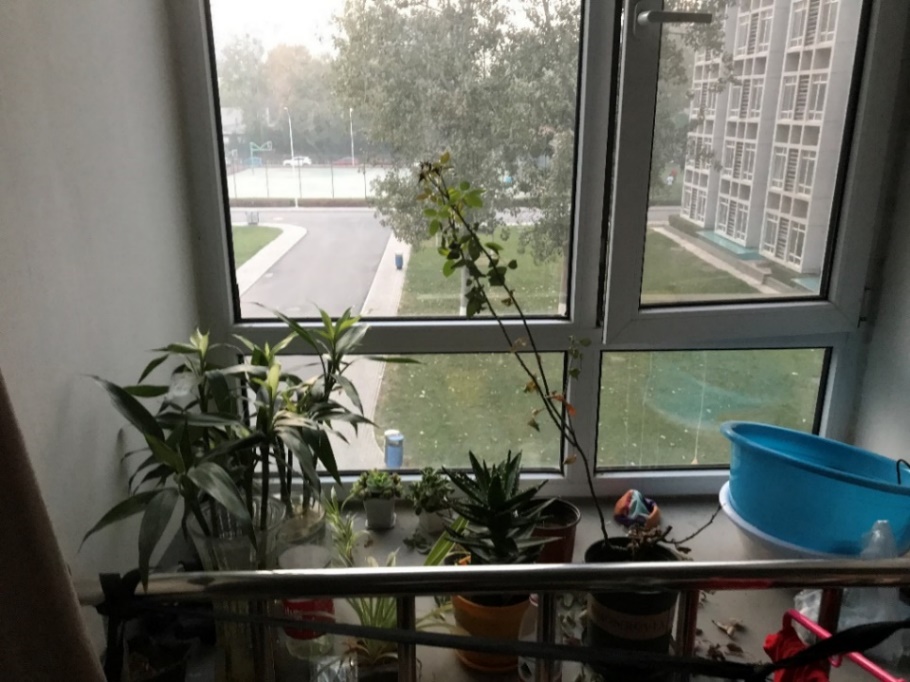 šyl(й)ٷվ